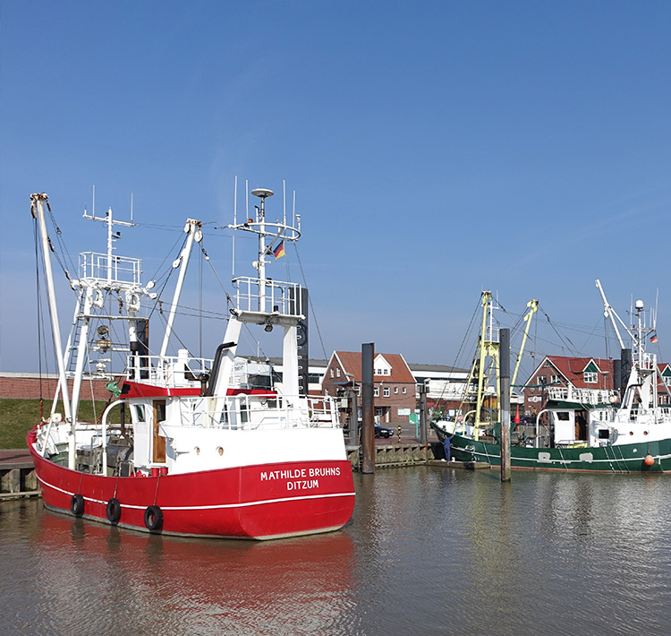Hafen mit Booten vor einem Dorf.